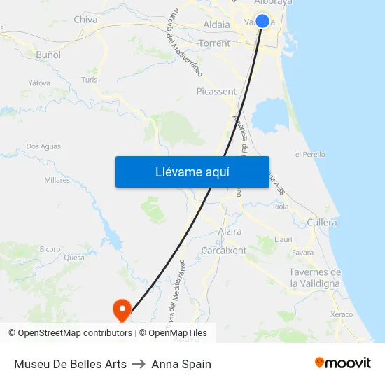 Museu De Belles Arts to Anna Spain map