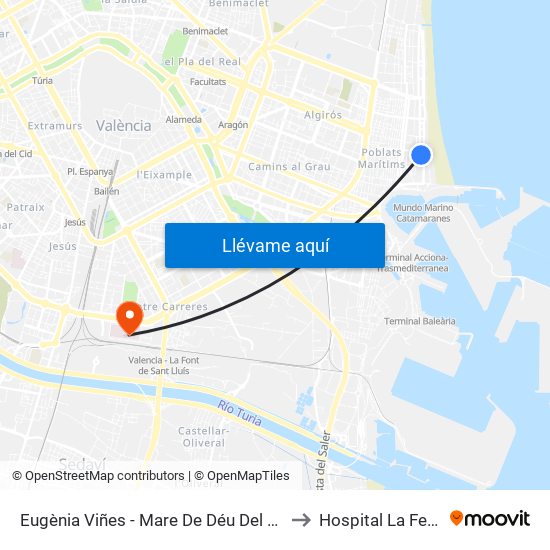 Eugènia Viñes - Mare De Déu Del Sufragi to Hospital La Fe - F5 map