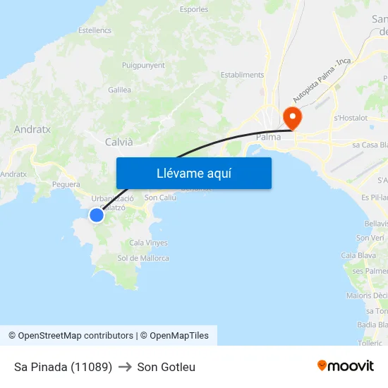 Sa Pinada (11089) to Son Gotleu map