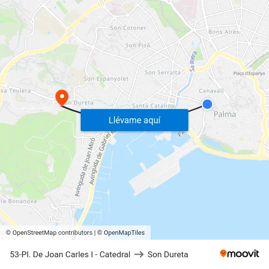 53-Pl. De Joan Carles I - Catedral to Son Dureta map