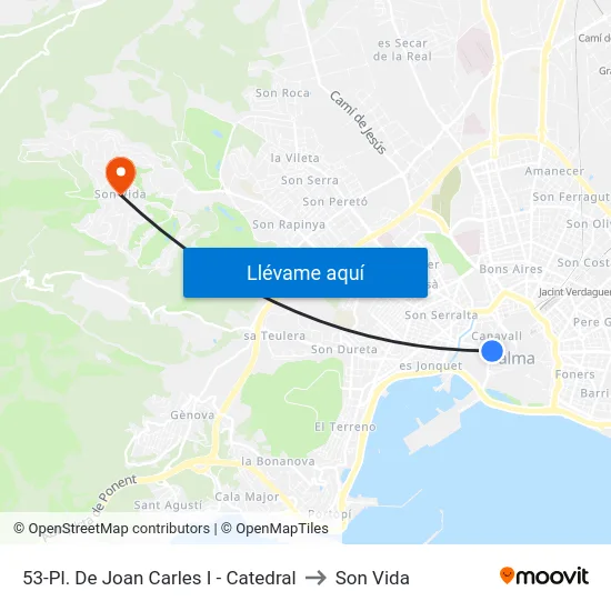 53-Pl. De Joan Carles I - Catedral to Son Vida map