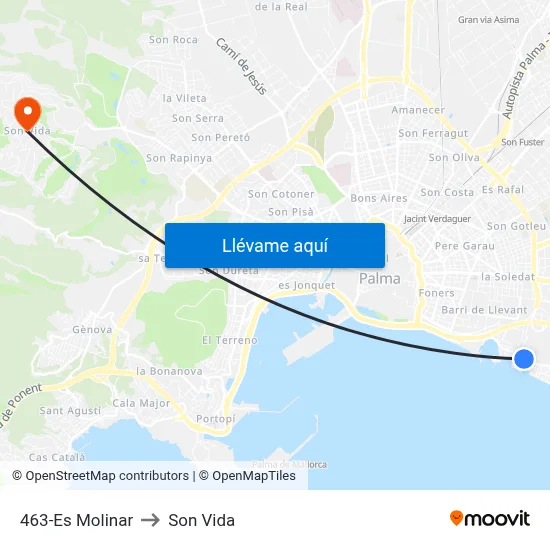 463-Es Molinar to Son Vida map