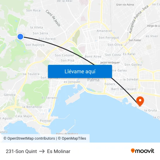 231-Son Quint to Es Molinar map