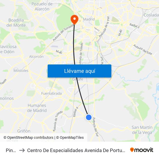 Pinto to Centro De Especialidades Avenida De Portugal. map