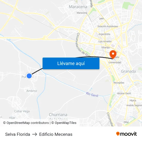 Selva Florida to Edificio Mecenas map