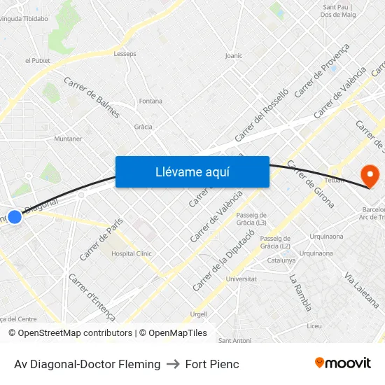 Av Diagonal-Doctor Fleming to Fort Pienc map