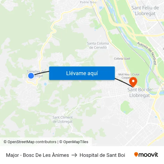 Major - Bosc De Les Ànimes to Hospital de Sant Boi map