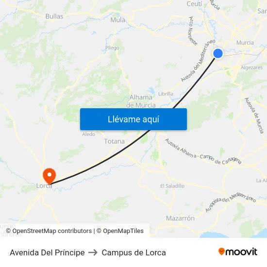 Avenida Del Príncipe to Campus de Lorca map