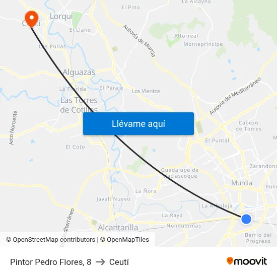 Pintor Pedro Flores, 8 to Ceutí map