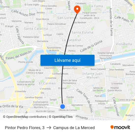 Pintor Pedro Flores, 3 to Campus de La Merced map