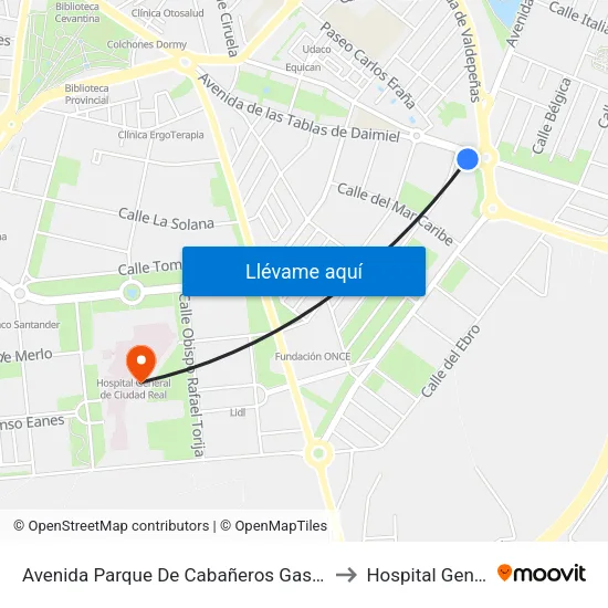 Avenida Parque De Cabañeros Gasolinera to Hospital General map