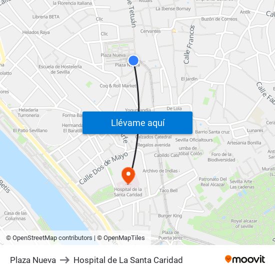 Plaza Nueva to Hospital de La Santa Caridad map