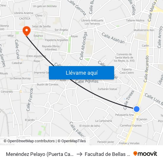 Menéndez Pelayo (Puerta Carmona) to Facultad de Bellas Artes map