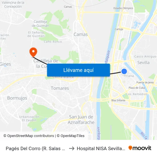 Pagés Del Corro (R. Salas González) to Hospital NISA Sevilla Aljarafe map