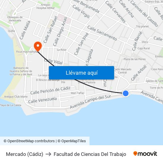 Mercado (Cádiz) to Facultad de Ciencias Del Trabajo map