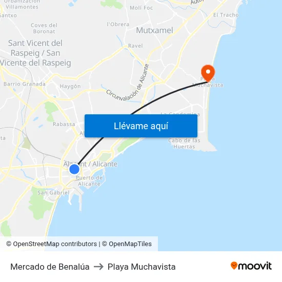 Mercado de Benalúa to Playa Muchavista map