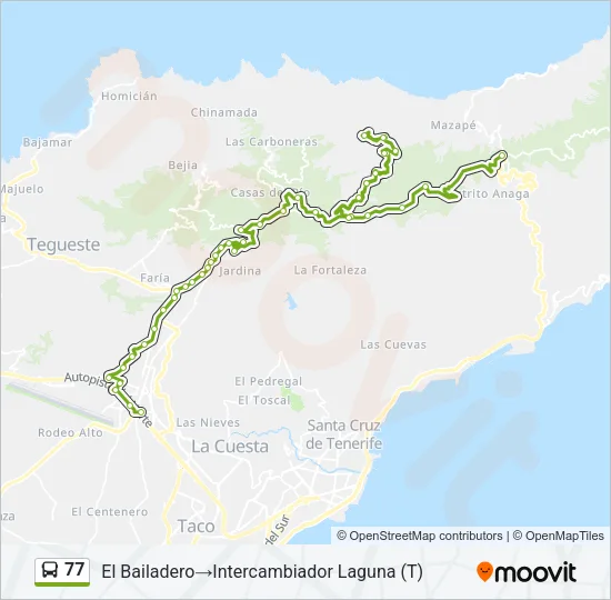 77 Bus Line Map