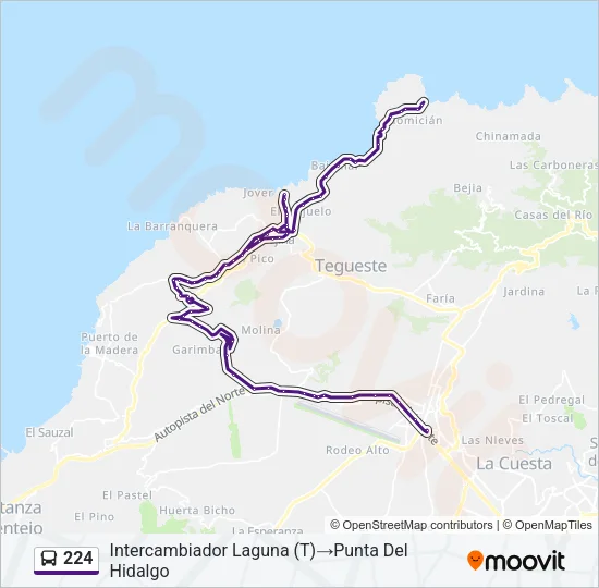 224 Bus Line Map