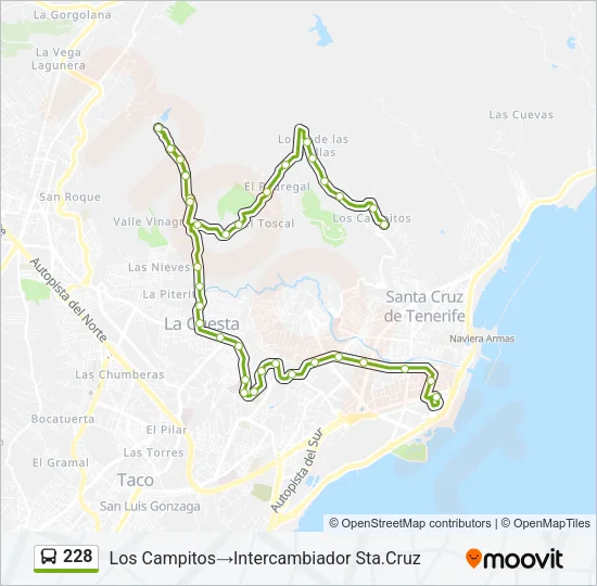 228 Bus Line Map