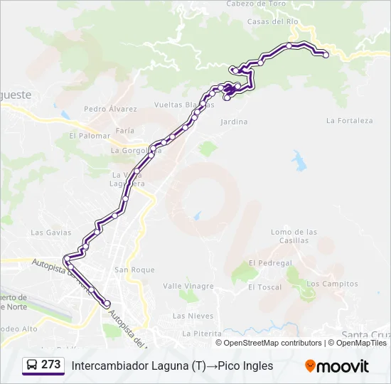 273 Bus Line Map
