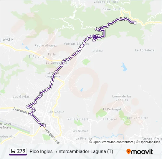 273 Bus Line Map