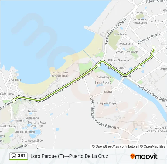 381 Bus Line Map