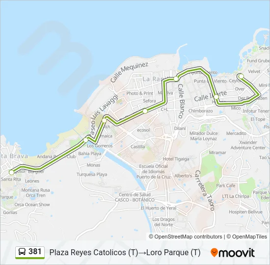 381 Bus Line Map
