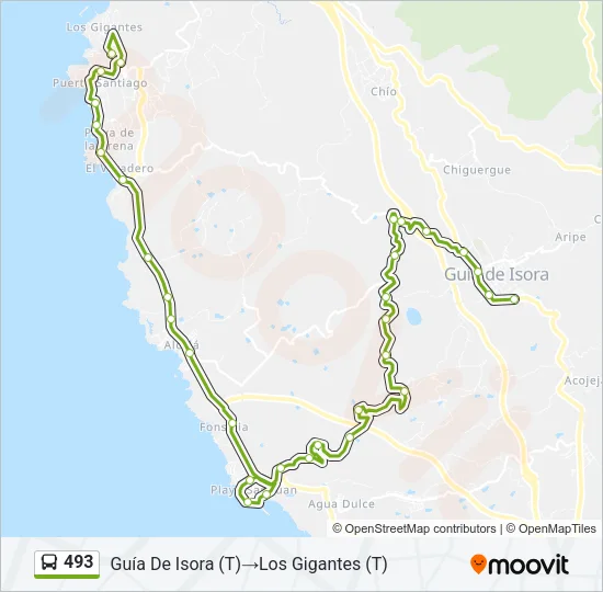 493 Bus Line Map