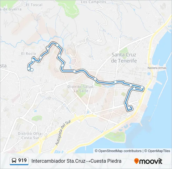 919 Bus Line Map