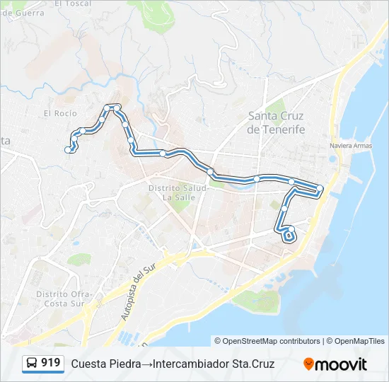 919 Bus Line Map
