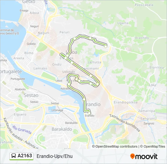 A2163 Bus Line Map