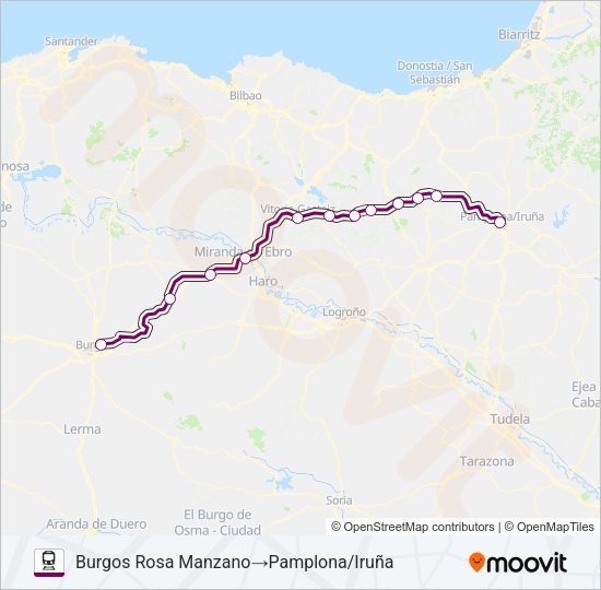 REG.EXP. Train Line Map