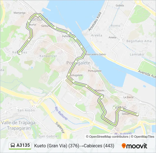 A3135 Bus Line Map