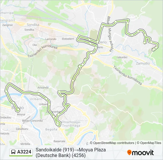 A3224 Bus Line Map