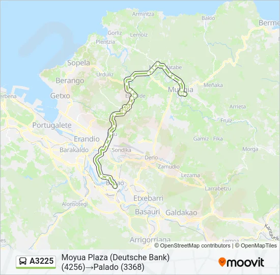A3225 Bus Line Map