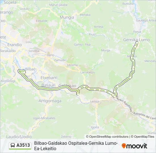 A3513 Bus Line Map