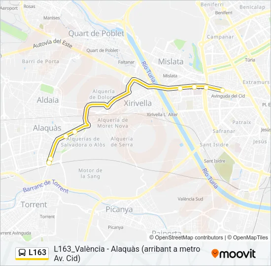 L163 Bus Line Map