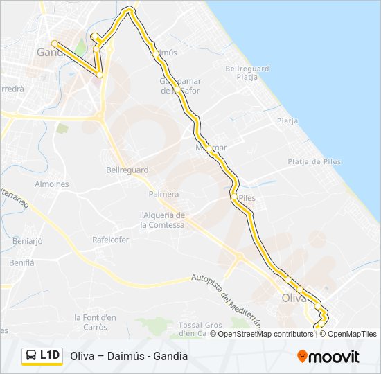 L1D Bus Line Map