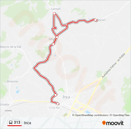 313 Bus Line Map