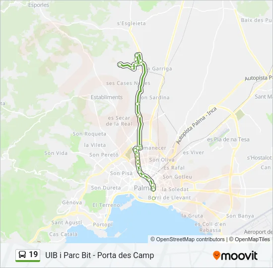 19 Bus Line Map