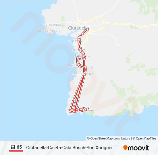 65 Bus Line Map