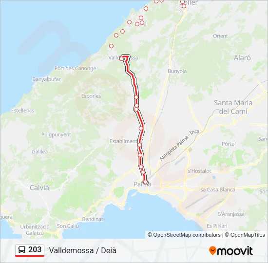 203 Bus Line Map