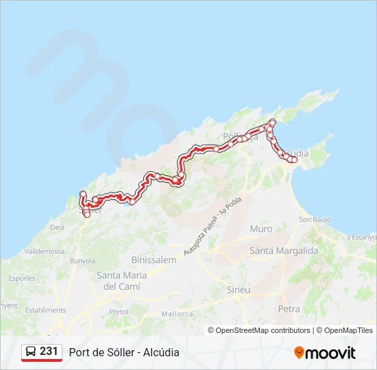 231 Bus Line Map