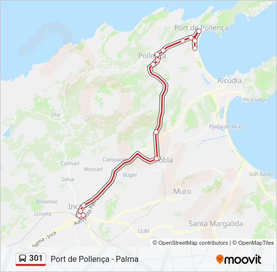 301 Bus Line Map