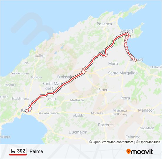 Mapa de 302 de autobús