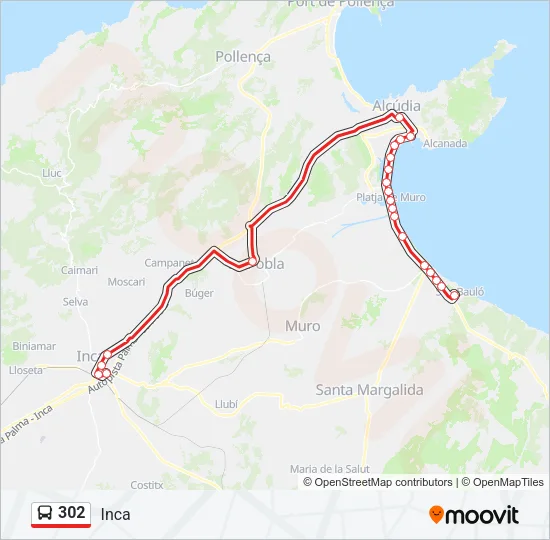 302 Bus Line Map