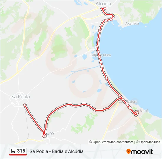 315 Bus Line Map