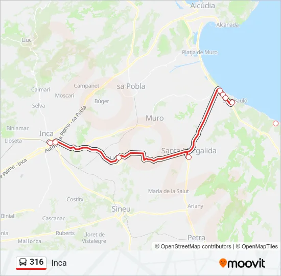 316 Bus Line Map