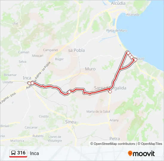 316 Bus Line Map