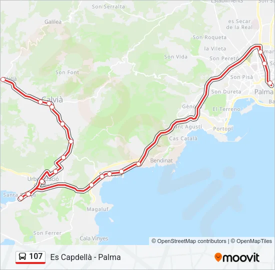 107 Bus Line Map
